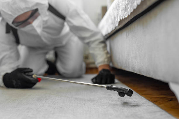 Professional Pest Control technician working in Collier County County, FL